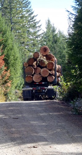 Oregon log truck