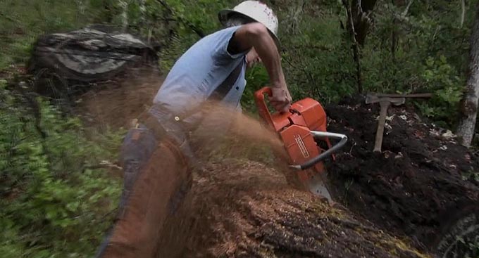 Keep your chainsaw sharp for safe logging